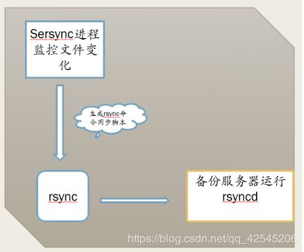 白小姐4肖必中一肖|实时解释解析落实