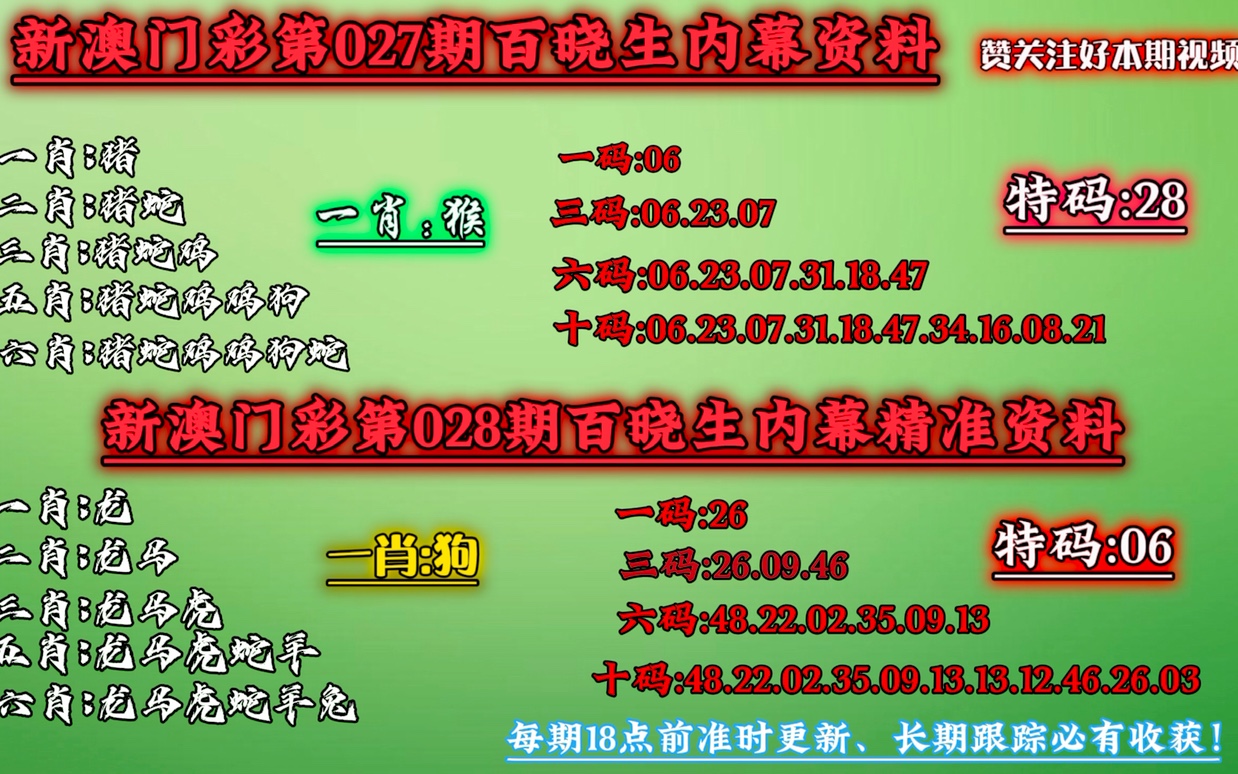 新澳精准一肖一码|重点解释解析落实