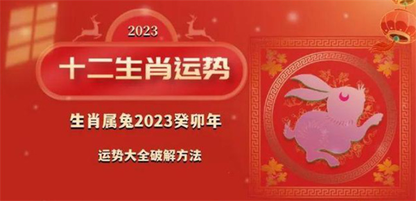 新澳门王中王二肖二资料|实时解释解析落实