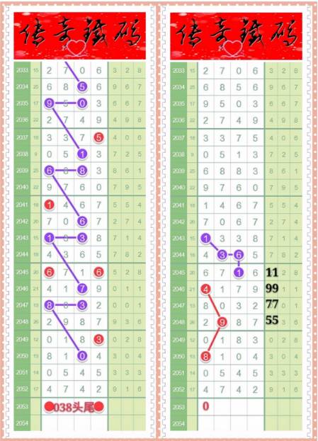 白小姐精选四肖八码|综合解释解析落实